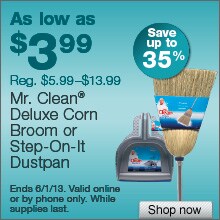 Deal on Mr. Clean Deluxe Corn Broom or Step On-It Dust Pan – Save up to 35%
