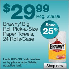Deal on Brawny Big Roll Pick-a-Size Paper Towels, 24 Rolls/Case – Save 25%