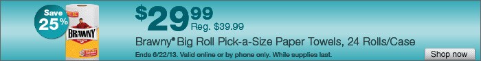Deal on Brawny Big Roll Pick-a-Size Paper Towels, 24 Rolls/Case – Save 25%