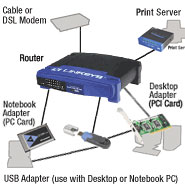 Wired Networking