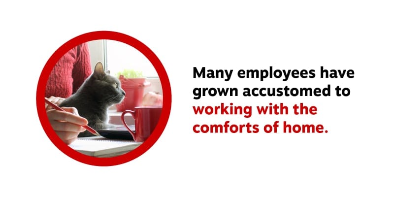 Office Design Comforts of Home