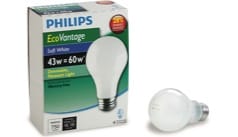 Light Bulbs