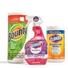 Summer cleaning - paper towels, disinfectant spray and wipes.