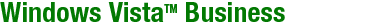 Windows Vista Business